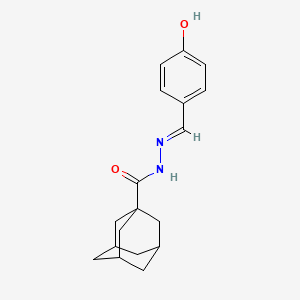 molecular formula C18H22N2O2 B13375707 N'-[(4-oxocyclohexa-2,5-dien-1-ylidene)methyl]adamantane-1-carbohydrazide 