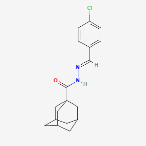 molecular formula C18H21ClN2O B13375714 N'-(4-chlorobenzylidene)-1-adamantanecarbohydrazide 