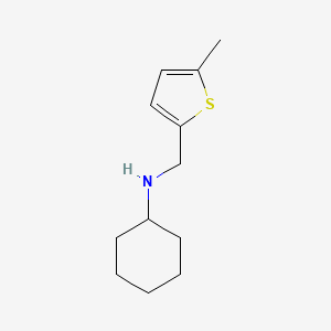 molecular formula C12H19NS B13376603 N-[(5-methylthiophen-2-yl)methyl]cyclohexanamine 