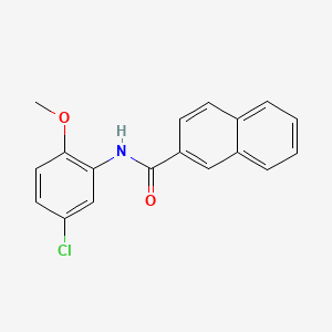 molecular formula C18H14ClNO2 B13376746 N-(5-chloro-2-methoxyphenyl)-2-naphthamide 