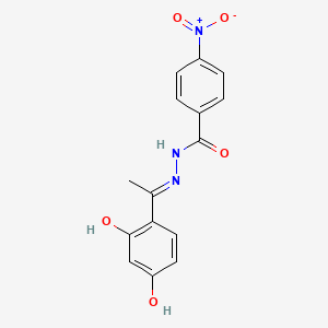 molecular formula C15H13N3O5 B13377015 N'-[1-(2,4-dihydroxyphenyl)ethylidene]-4-nitrobenzohydrazide 