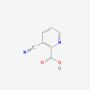 molecular formula C7H4N2O2 B1338006 3-Cyanopyridine-2-carboxylic acid CAS No. 53940-10-6