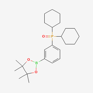 molecular formula C24H38BO3P B13382387 Dicyclohexyl(3-(4,4,5,5-tetramethyl-1,3,2-dioxaborolan-2-yl)phenyl)phosphine oxide 