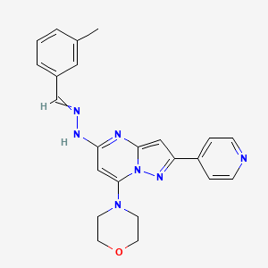 molecular formula C23H23N7O B13383987 N-[(3-methylphenyl)methylideneamino]-7-morpholin-4-yl-2-pyridin-4-ylpyrazolo[1,5-a]pyrimidin-5-amine 