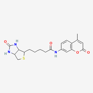 molecular formula C20H23N3O4S B13385025 N-(4-methyl-2-oxochromen-7-yl)-5-(2-oxo-1,3,3a,4,6,6a-hexahydrothieno[3,4-d]imidazol-4-yl)pentanamide 