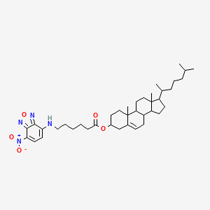 molecular formula C39H58N4O5 B13385094 [10,13-dimethyl-17-(6-methylheptan-2-yl)-2,3,4,7,8,9,11,12,14,15,16,17-dodecahydro-1H-cyclopenta[a]phenanthren-3-yl] 6-[(4-nitro-2,1,3-benzoxadiazol-7-yl)amino]hexanoate 