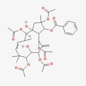 molecular formula C37H48O14 B13385225 Jatrophane 6 