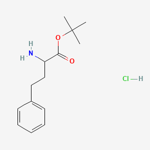 molecular formula C14H22ClNO2 B13385469 Tert-butyl 2-amino-4-phenylbutanoate;hydrochloride 