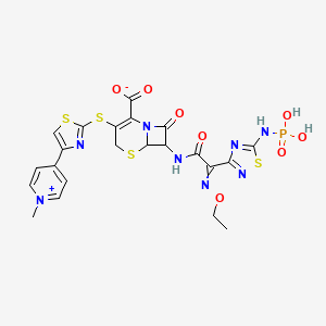 molecular formula C22H21N8O8PS4 B13385510 7-[[2-Ethoxyimino-2-[5-(phosphonoamino)-1,2,4-thiadiazol-3-yl]acetyl]amino]-3-[[4-(1-methylpyridin-1-ium-4-yl)-1,3-thiazol-2-yl]sulfanyl]-8-oxo-5-thia-1-azabicyclo[4.2.0]oct-2-ene-2-carboxylate 