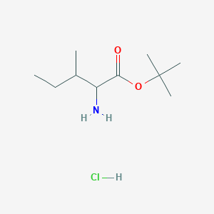 molecular formula C10H22ClNO2 B13386178 Tert-butyl 2-amino-3-methylpentanoate hydrochloride 