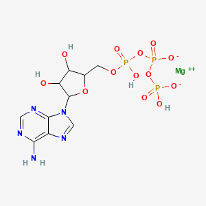 molecular formula C10H14MgN5O13P3 B13387506 Adenosine 5'-triphosphate dimagnesium salt 