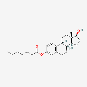 molecular formula C25H36O3 B13388279 Estradiol 3-heptanoate 