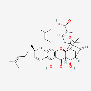 molecular formula C38H46O9 B13389968 10alpha-Hydroxyepigambogic acid 