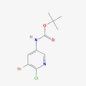 molecular formula C10H12BrClN2O2 B1339031 tert-Butyl (5-bromo-6-chloropyridin-3-yl)carbamate CAS No. 405939-59-5