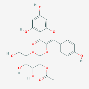 molecular formula C23H22O12 B13391647 [2-[5,7-Dihydroxy-2-(4-hydroxyphenyl)-4-oxochromen-3-yl]oxy-4,5-dihydroxy-6-(hydroxymethyl)oxan-3-yl] acetate 
