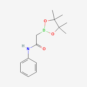 molecular formula C14H20BNO3 B13391656 2-(4,4,5,5-Tetramethyl-1,3,2-dioxaborolan-2-yl)acetanilide 
