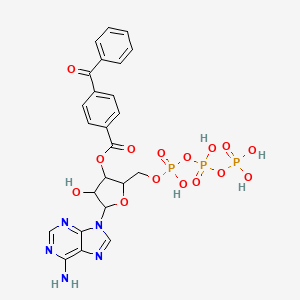 molecular formula C24H24N5O15P3 B13393876 3'-O-(4-benzoyl)benzoyladenosine 5'-triphosphate pound>>3'-O-(4-Benzoyl)benzoyl ATP 
