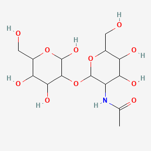 molecular formula C14H25NO11 B13396611 N-[4,5-dihydroxy-6-(hydroxymethyl)-2-[2,4,5-trihydroxy-6-(hydroxymethyl)oxan-3-yl]oxyoxan-3-yl]acetamide 