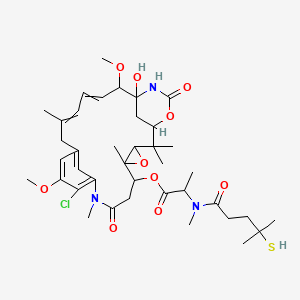 Maytansinoid DM4