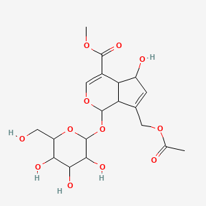molecular formula C19H26O12 B13399458 Methyl 7-(acetyloxymethyl)-5-hydroxy-1-[3,4,5-trihydroxy-6-(hydroxymethyl)oxan-2-yl]oxy-1,4a,5,7a-tetrahydrocyclopenta[c]pyran-4-carboxylate 