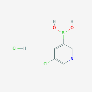 molecular formula C5H6BCl2NO2 B13402637 (5-Chloropyridin-3-yl)boronic acid hydrochloride 