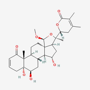 molecular formula C29H40O8 B13403736 Withaphysalin S 