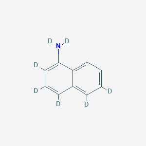 molecular formula C10H9N B13405012 1-Naphthylamine-d7 