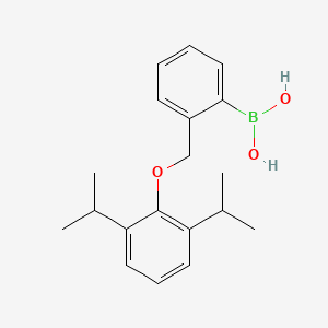 molecular formula C19H25BO3 B1340526 (2-((2,6-Diisopropylphenoxy)methyl)phenyl)boronic acid CAS No. 1072951-64-4