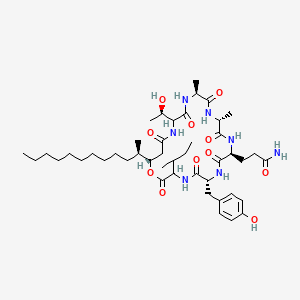 molecular formula C45H73N7O11 B13405344 Acuminatum B 