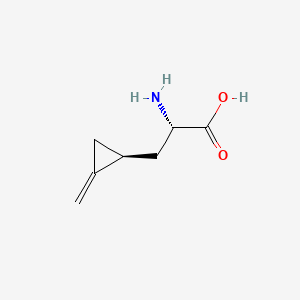 molecular formula C7H11NO2 B13406169 Hypoglycin A 
