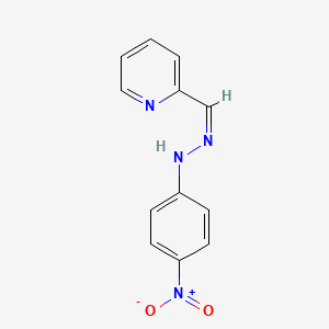 molecular formula C12H10N4O2 B13408962 4-nitro-N-[(Z)-pyridin-2-ylmethylideneamino]aniline 