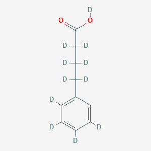 molecular formula C10H12O2 B13409068 Deuterio 2,2,3,3,4,4-hexadeuterio-4-(2,3,4,5-tetradeuteriophenyl)butanoate 
