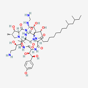 molecular formula C53H92N10O14 B13409220 N-[(3R,6S,9S,11R,15S,18S,20R,21S,24S,25S,26S)-3-[(1R)-3-amino-1-hydroxypropyl]-21-(aminomethylamino)-6-[(1S,2S)-1,2-dihydroxy-2-(4-hydroxyphenyl)ethyl]-11,20,25-trihydroxy-15-[(1R)-1-hydroxyethyl]-2,26-dimethyl-5,8,14,17,23-pentaoxo-1,4,7,13,16,22-hexazatricyclo[22.3.0.09,13]heptacosan-18-yl]-10,12-dimethyltetradecanamide 