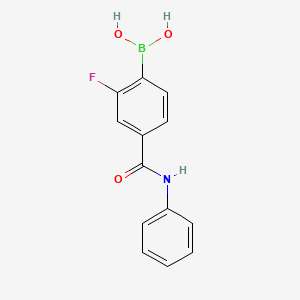 molecular formula C13H11BFNO3 B13411725 2-Fluoro-4-(phenylcarbamoyl)phenylboronic acid 