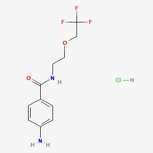 4-amino-N-[2-(2,2,2-trifluoroethoxy)ethyl]benzamide hydrochloride
