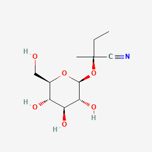 molecular formula C11H19NO6 B13414190 Epilotaustralin CAS No. 55758-42-4