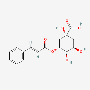 molecular formula C16H18O7 B13415132 5-O-Cinnamoylquinic acid 
