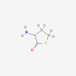 molecular formula C4H7NOS B13416321 3-Amino-4,4,5,5-tetradeuteriothiolan-2-one 