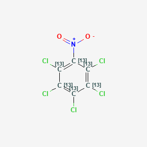 molecular formula C6Cl5NO2 B13416618 Pentachloronitrobenzene-13C6 