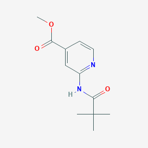 molecular formula C12H16N2O3 B1341732 2-(2,2-Dimethyl-propionylamino)-isonicotinic acid methyl ester CAS No. 470463-38-8