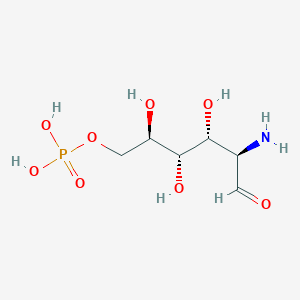 molecular formula C6H14NO8P B134176 D-葡萄糖胺-6-磷酸 CAS No. 3616-42-0