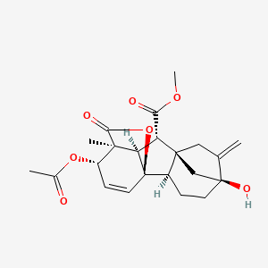 molecular formula C22H26O7 B13419187 Gibberellic Acid Methyl Ester Acetate 