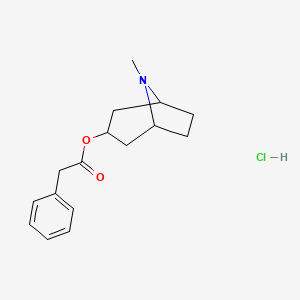 molecular formula C16H22ClNO2 B13420298 Tropine phenylacetate hydrochloride CAS No. 3087-02-3