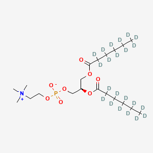 molecular formula C20H40NO8P B13421694 1,2-Dihexanoyl-d22-sn-glycero-3-phosphocholine 