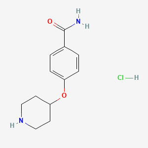 molecular formula C12H17ClN2O2 B1342173 4-(哌啶-4-氧基)苯甲酰胺盐酸盐 CAS No. 857048-73-8