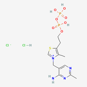 molecular formula C12H20Cl2N4O7P2S B13422685 Cocarboxylase chloride hydrochloride CAS No. 23883-45-6