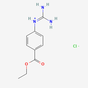 molecular formula C10H14ClN3O2 B13423892 p-Guanidinobenzoic acid ethyl ester hydrochloride CAS No. 24503-25-1