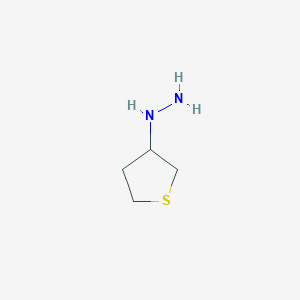 molecular formula C4H10N2S B1342702 Thiolan-3-ylhydrazine CAS No. 1016709-16-2