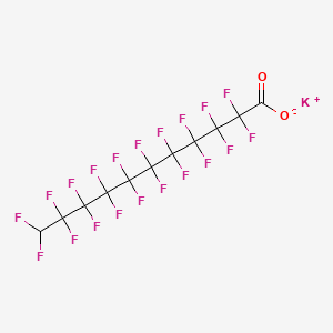 molecular formula C11HF20KO2 B13427111 Potassium 2,2,3,3,4,4,5,5,6,6,7,7,8,8,9,9,10,10,11,11-icosafluoroundecanoate CAS No. 307-71-1
