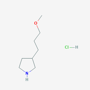 molecular formula C8H18ClNO B13428945 3-(3-Methoxypropyl)pyrrolidine hydrochloride 